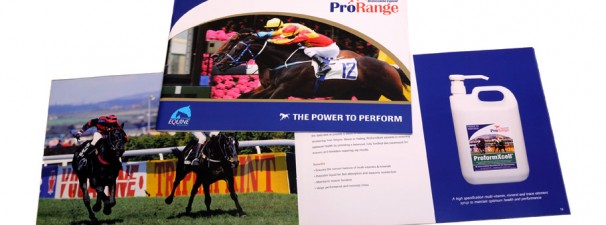 Brinicombe Equine – ProRange Brochure